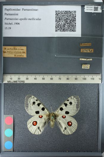 Media type: image;   Entomology 175360